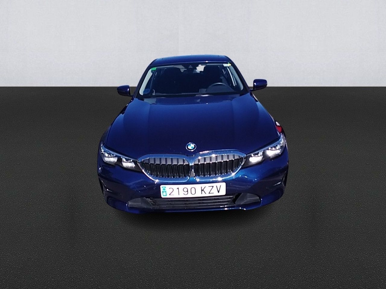 bmw serie 3 2019 / foto grande (2)