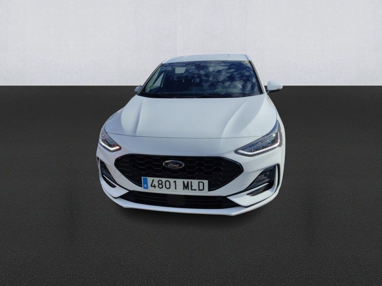 ford focus 2023 / foto grande (2)