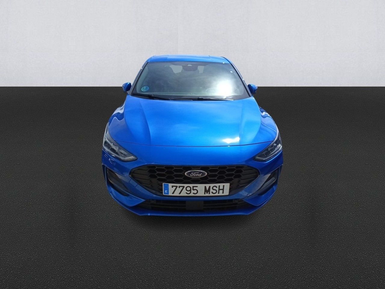 ford focus 2024 / foto grande (2)
