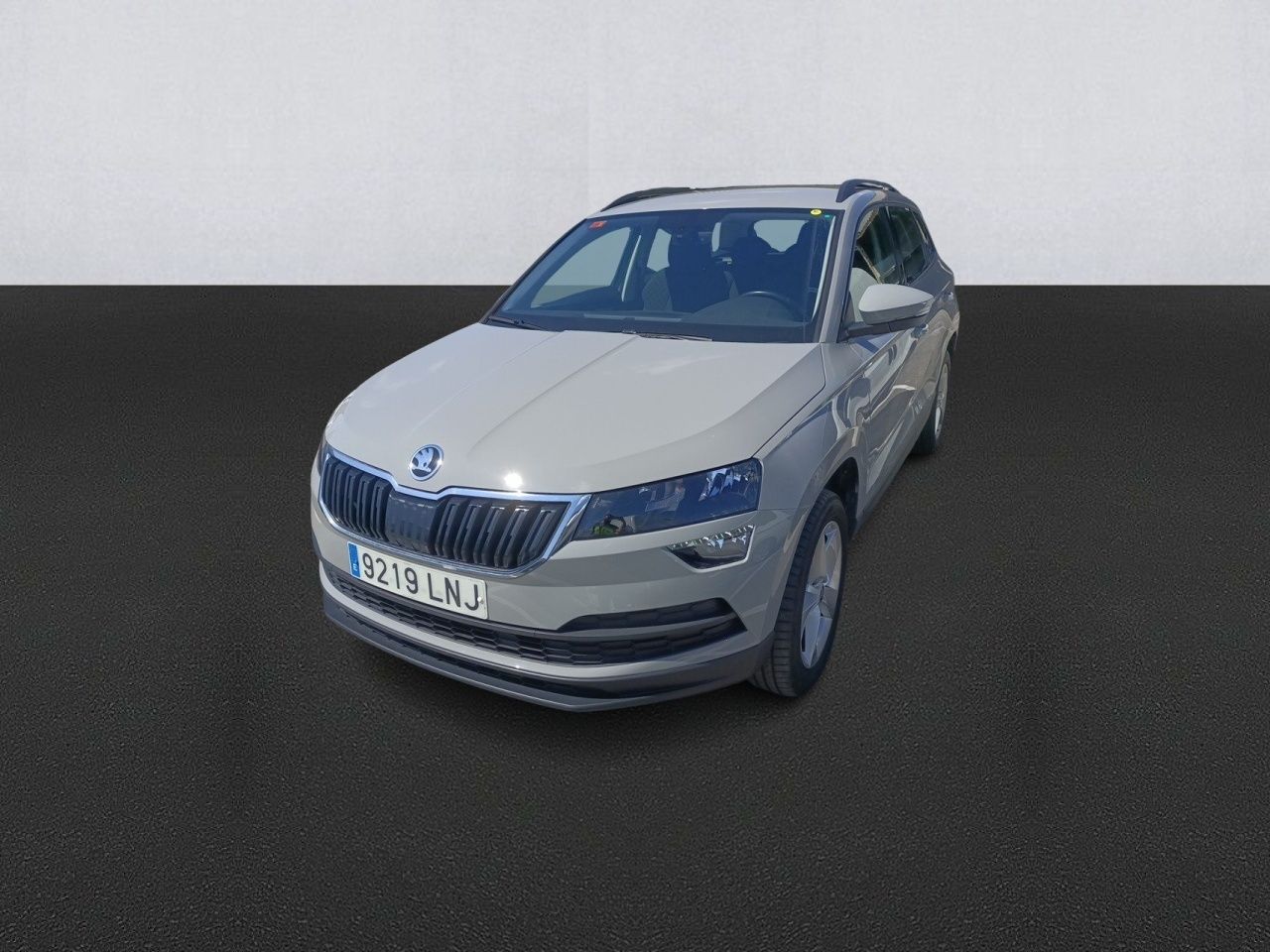 Foto skoda karoq 2021 /