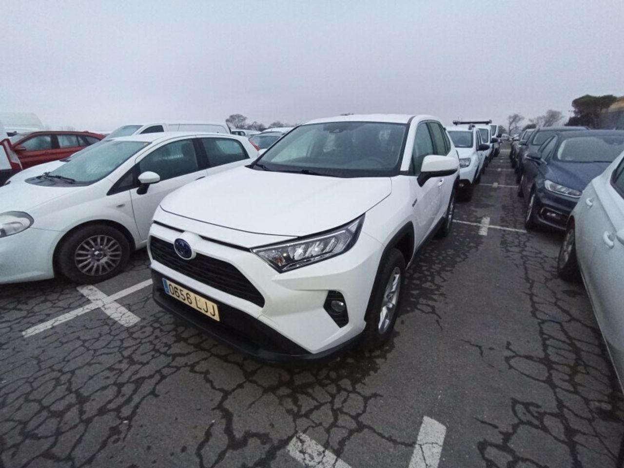 toyota rav4 2020 /
