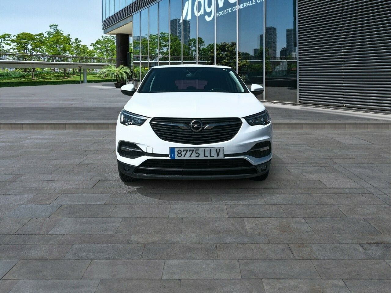 opel grandland x 2020 / foto grande (2)
