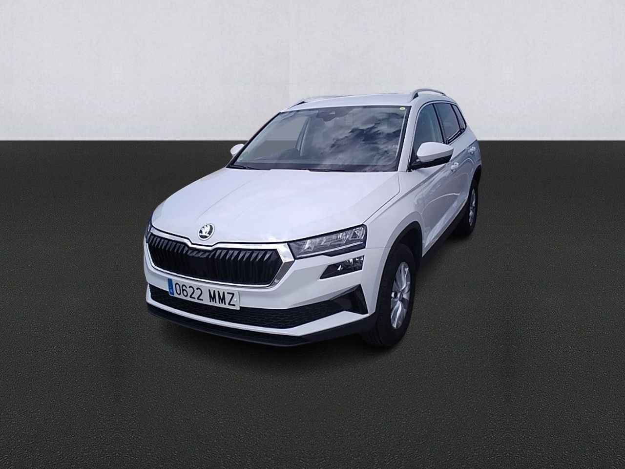 skoda karoq 2024 /
