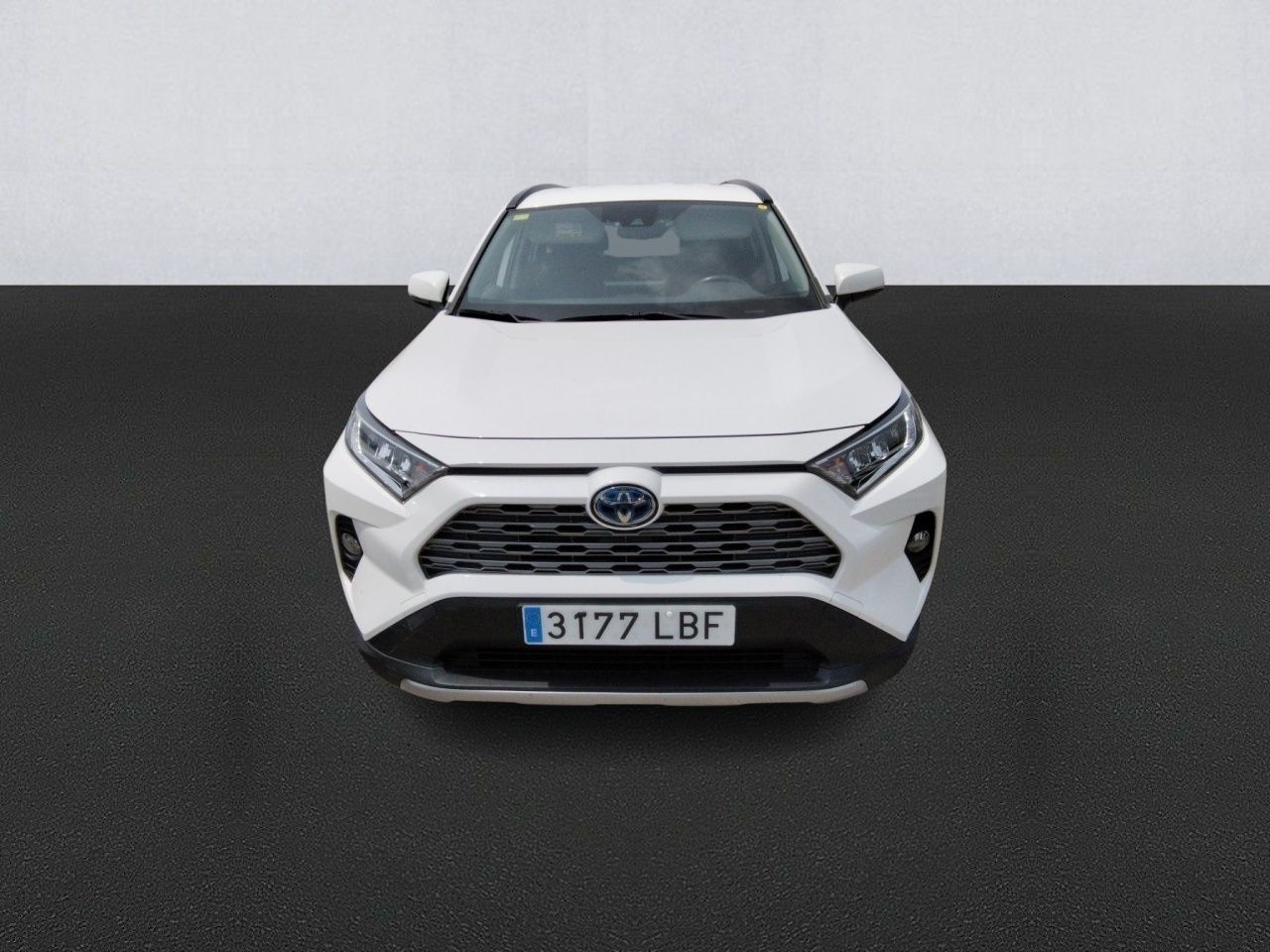 toyota rav4 2019 / foto grande (2)
