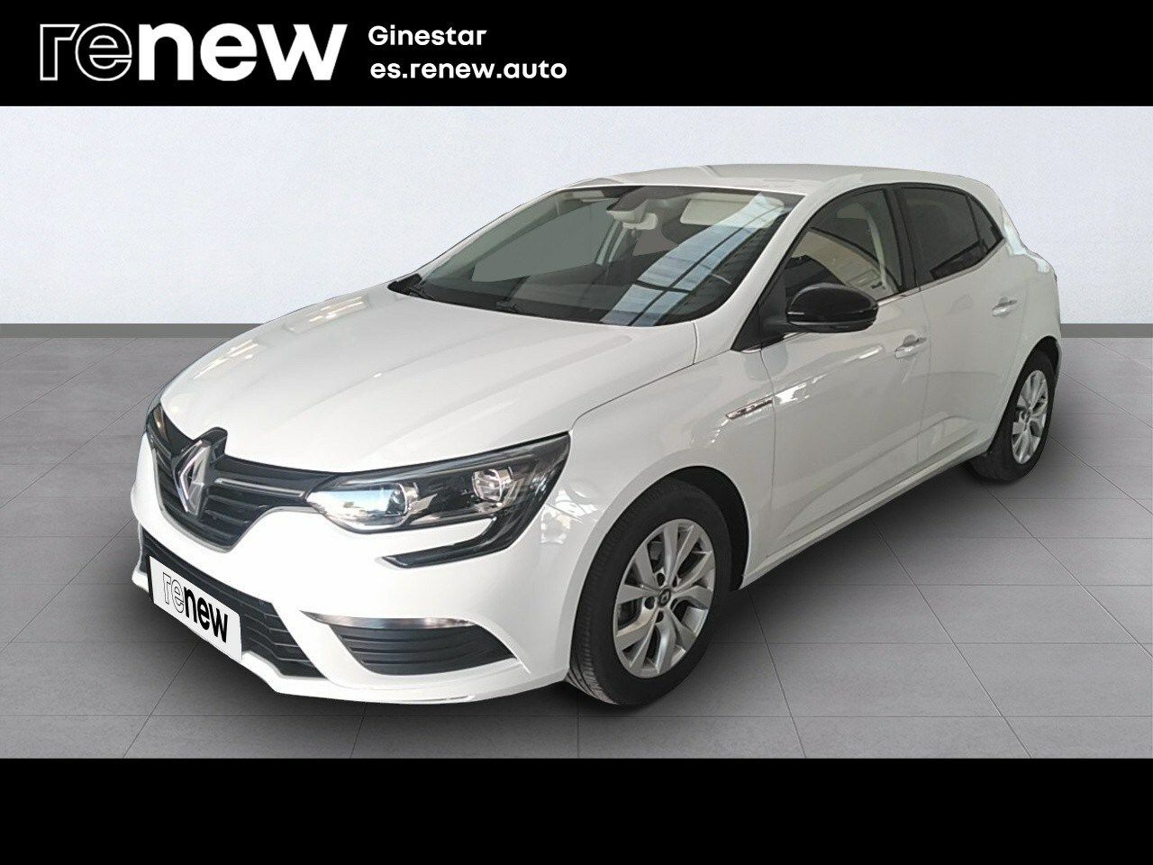 Foto renault megane 2019 /