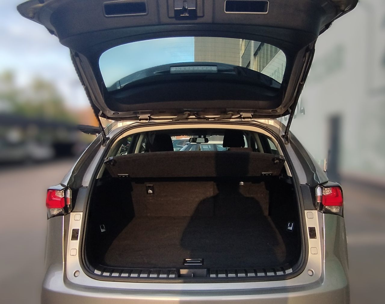 Lexus NX CORPORATE NAVI - Foto 15