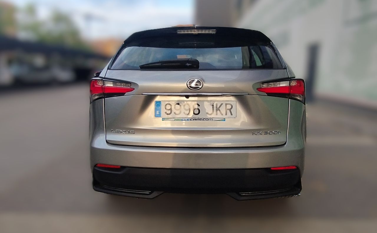 Lexus NX CORPORATE NAVI - Foto 5