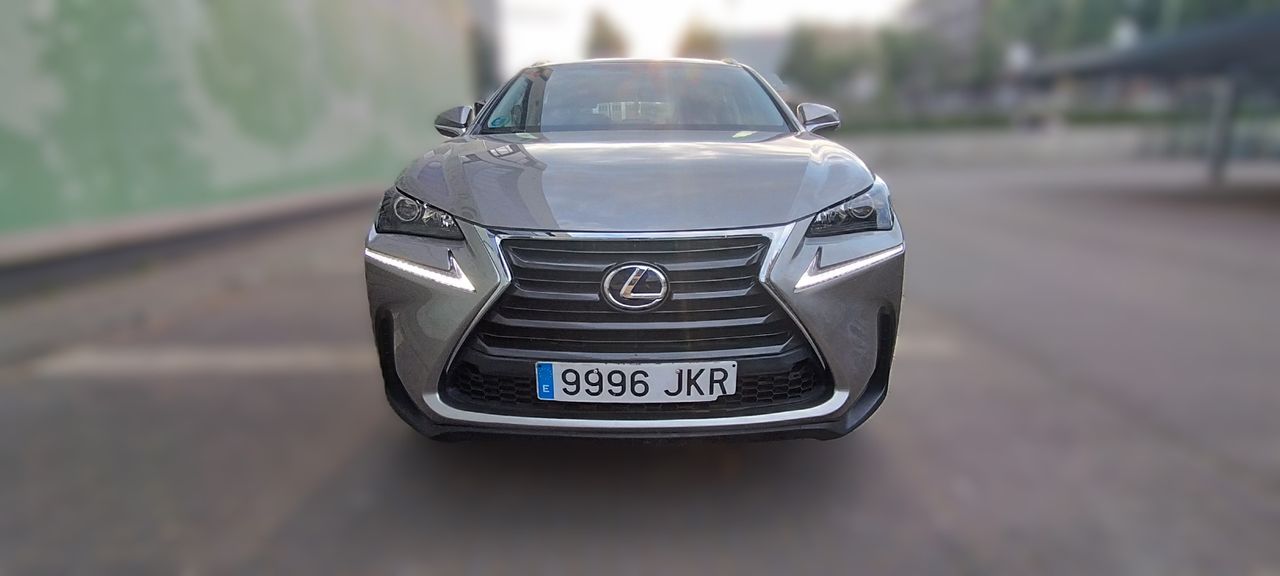 Lexus NX CORPORATE NAVI - Foto 10
