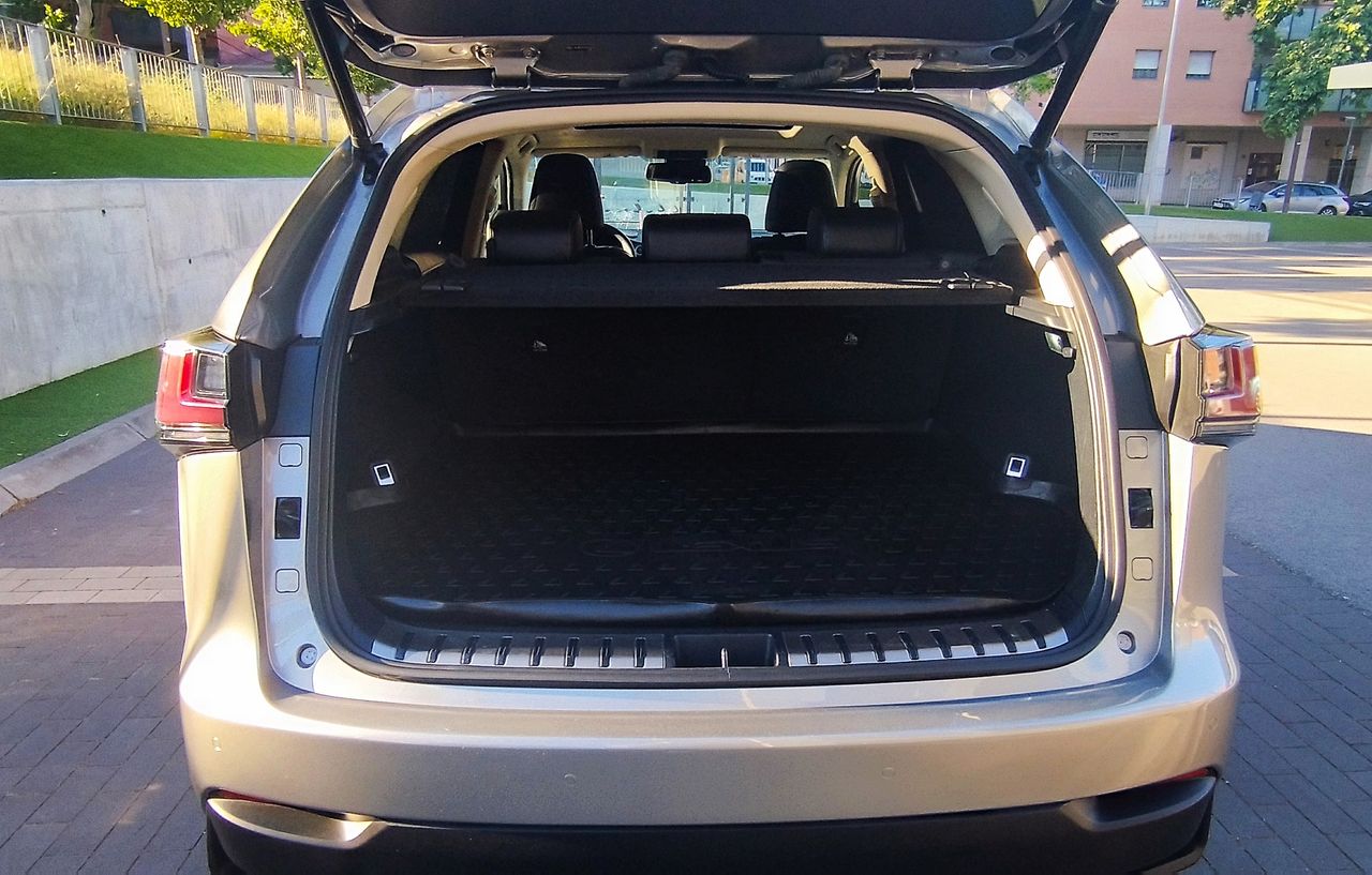 Lexus NX luxury - Foto 9