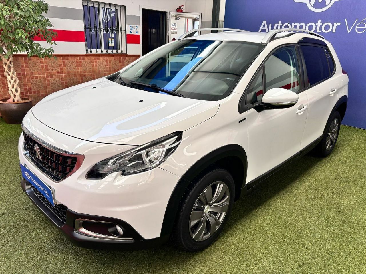 peugeot 2008 2019 / foto grande (3)