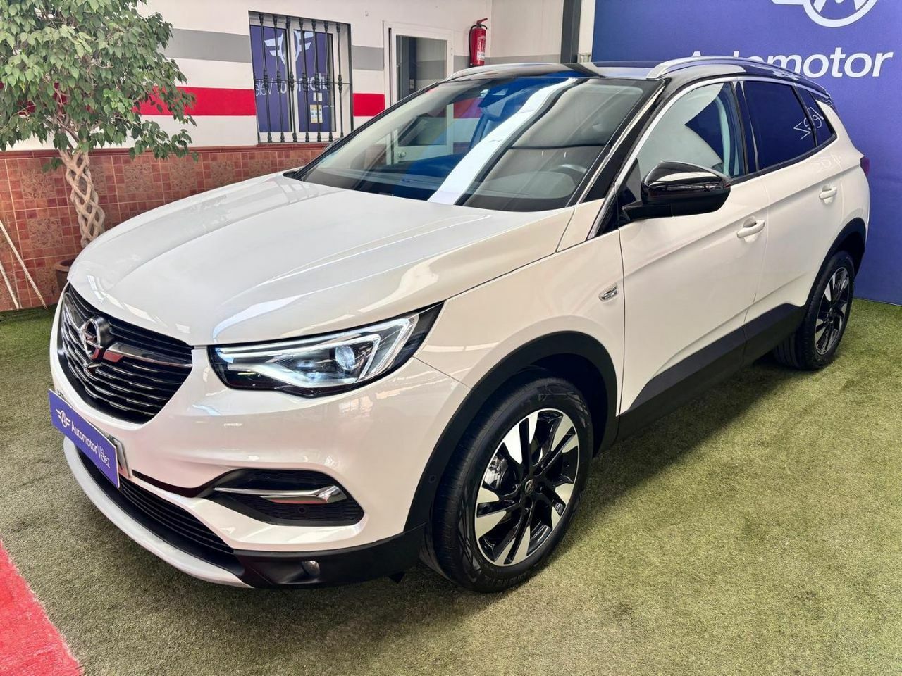 opel grandland x 2021 / foto grande (3)