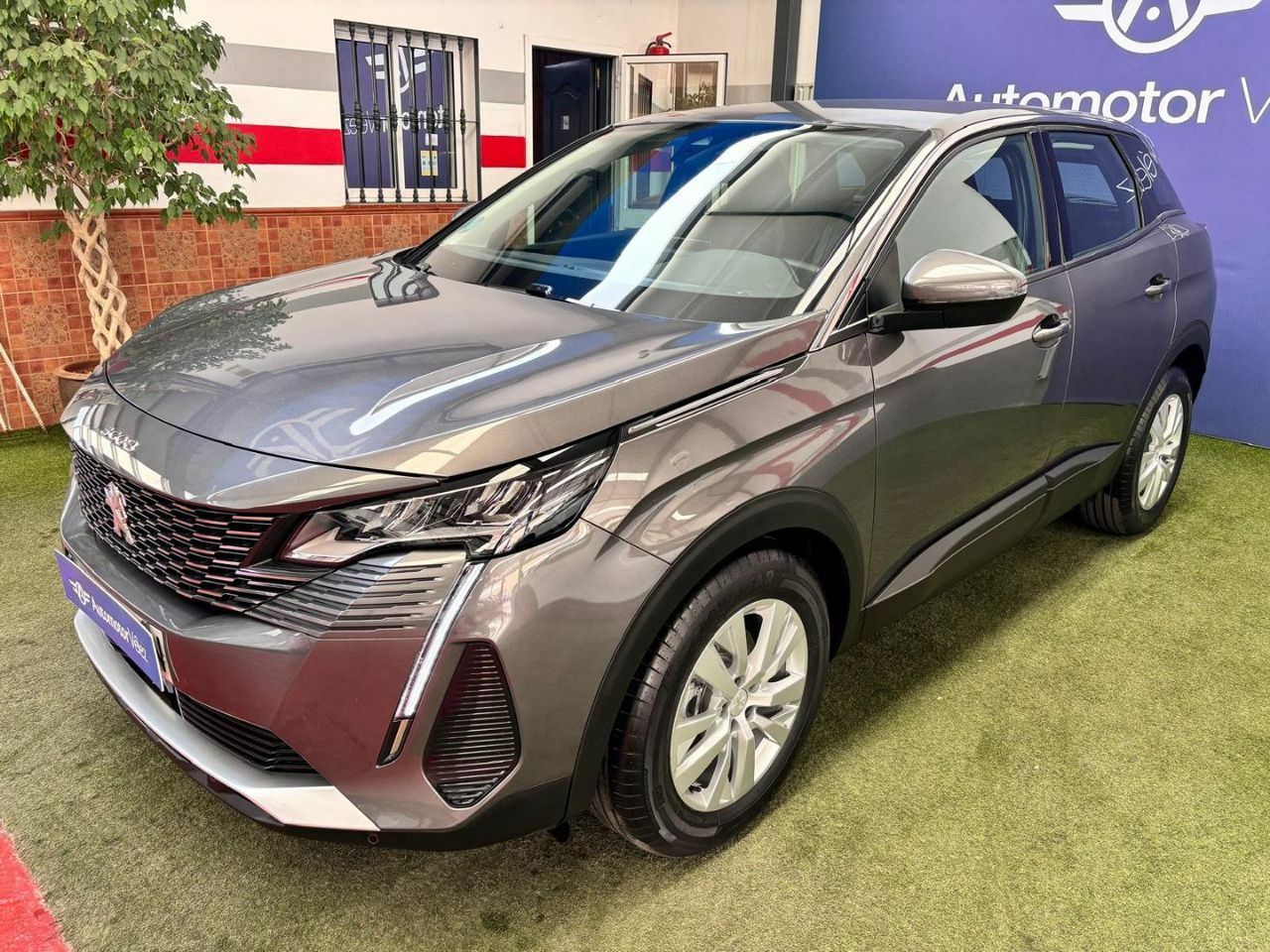 peugeot 3008 2021 / foto grande (3)