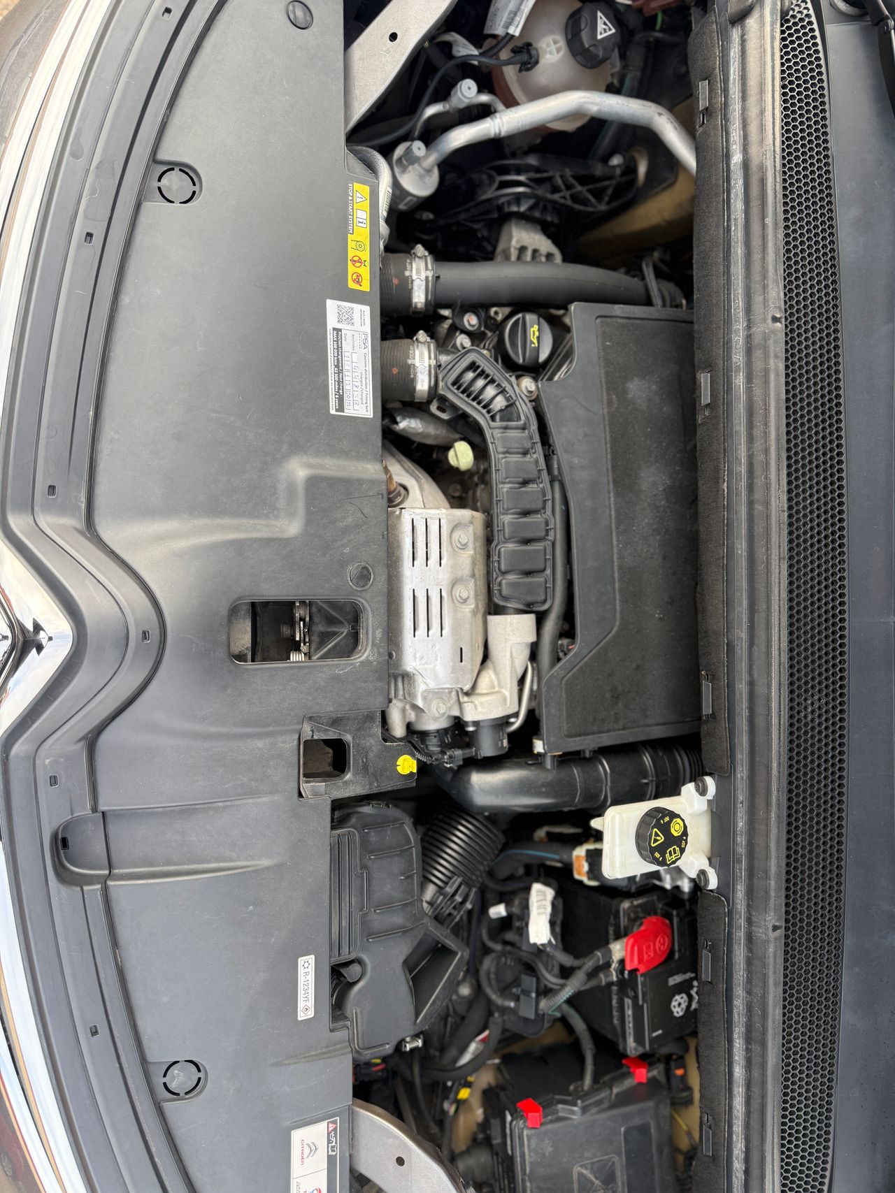 Citroën C4 Spacetourer C4 SpaceTourer PureTech 130 S&S Live - Foto 17