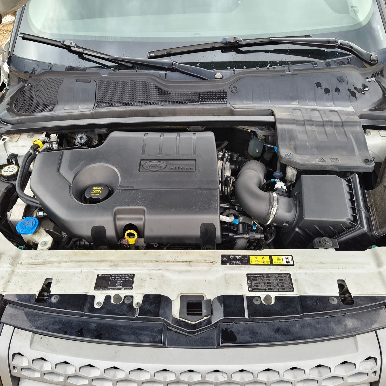 Land-Rover Range Rover Evoque 5p 2.0 Td4 110 kW - Foto 22