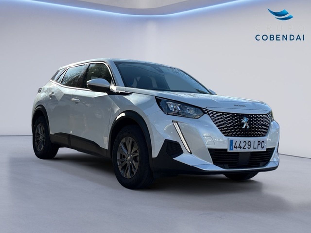 Peugeot 2008 Eléctrico Active 100 kW (136 CV) - Foto 8
