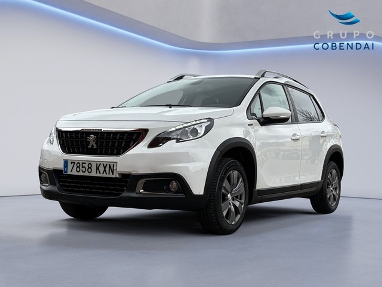 peugeot 2008 2019 /
