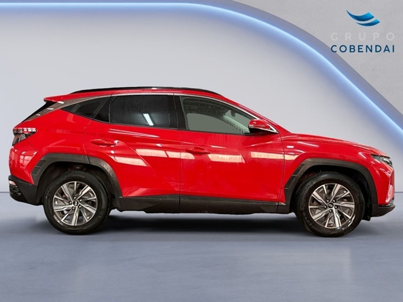Hyundai Tucson 1.6 CRDI 48V Maxx Sky DCT 100 kW (136 CV) - Foto 6