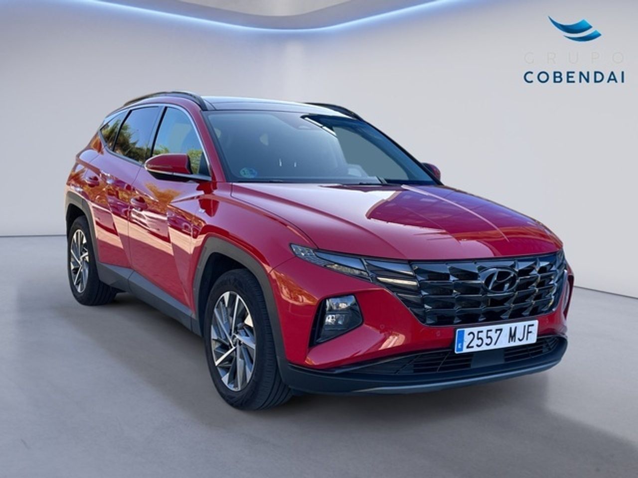 Hyundai Tucson 1.6 CRDI 48V Tecno Sky DCT 100 kW (136 CV) - Foto 8