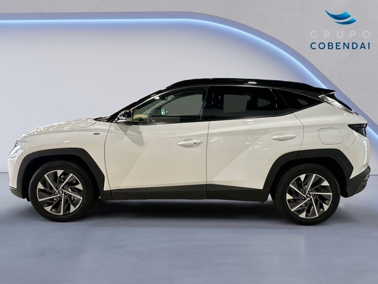 Hyundai Tucson 1.6 CRDI 48V Tecno 4X2 DCT 100 kW (136 CV) - Foto 3