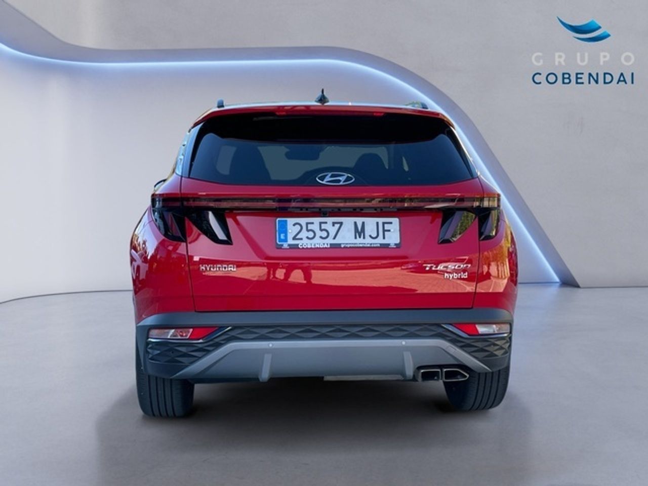 Hyundai Tucson 1.6 CRDI 48V Tecno Sky DCT 100 kW (136 CV) - Foto 5