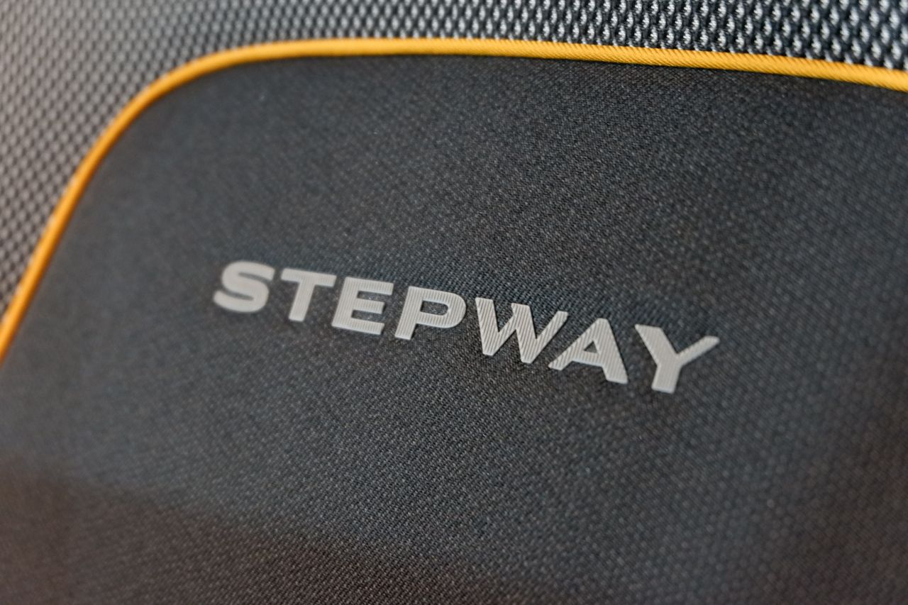 Dacia Sandero Stepway Expression TCe 67 kW (90 CV) CVT - Foto 13