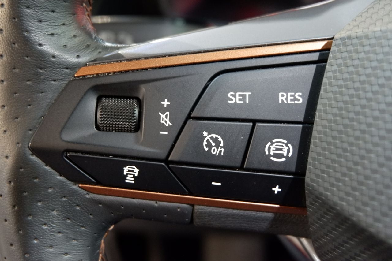 Cupra Formentor 1.5 TSI 110 kW (150 CV) - Foto 30