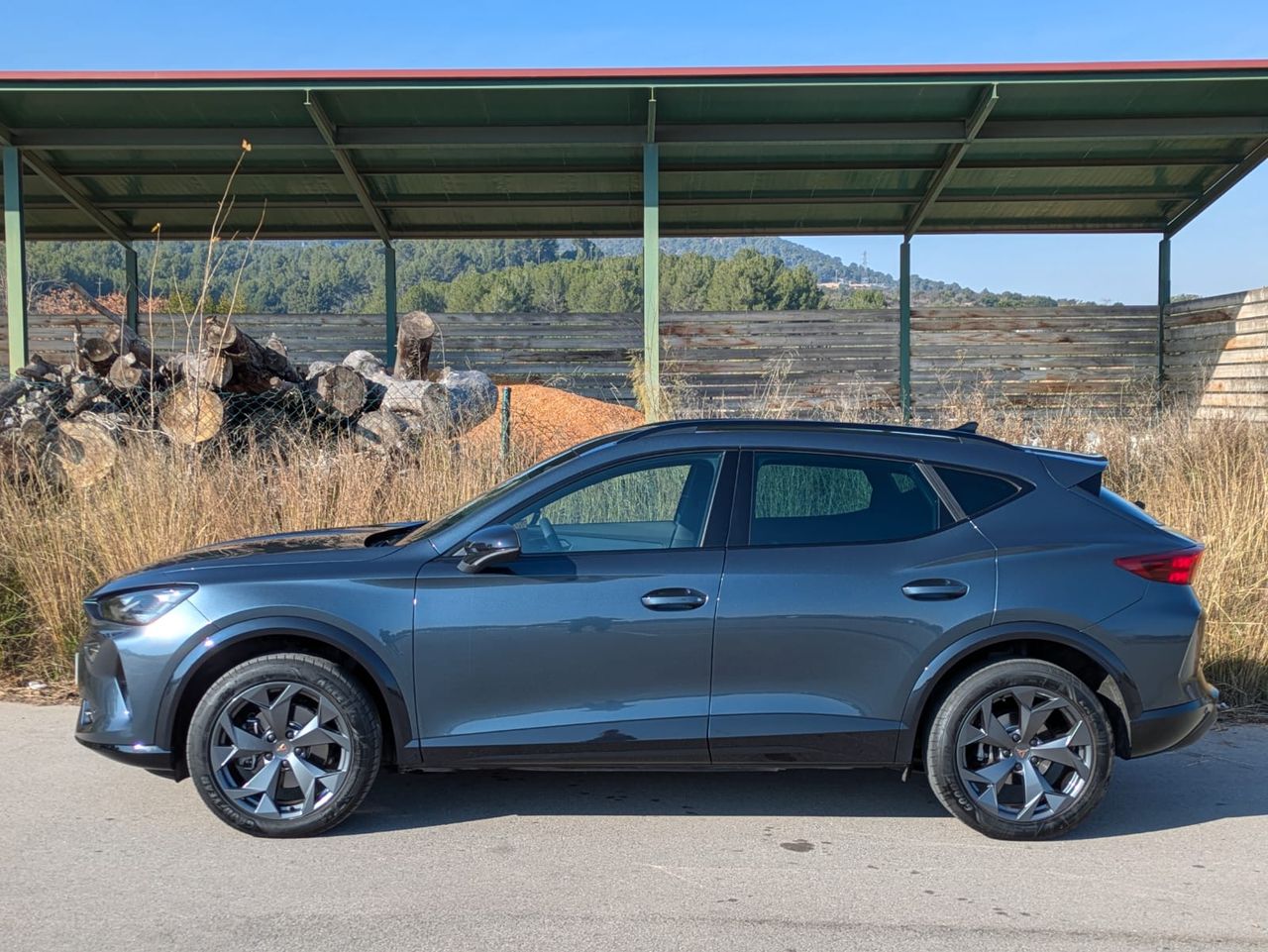 Cupra Formentor 1.5 eTSI 110kW 150 CV DSG - Foto 20