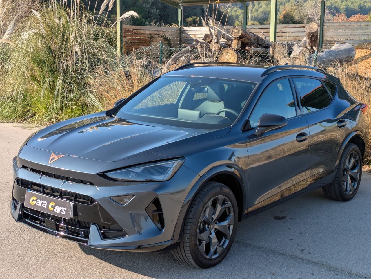 Cupra Formentor 1.5 eTSI 110kW 150 CV DSG - Foto 4