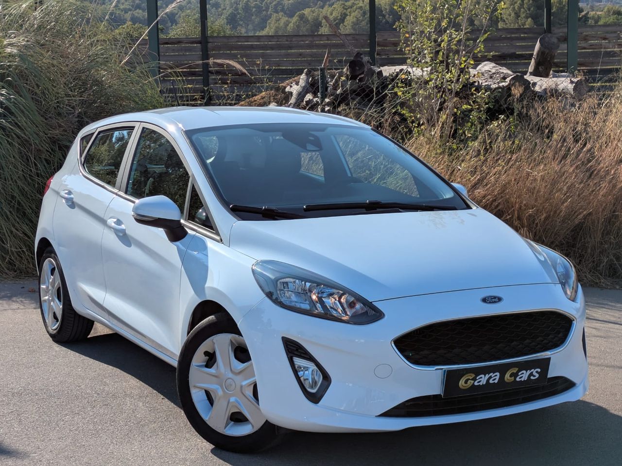Ford Fiesta 5p Trend 1.0 EcoBoost 74 kW - Foto 4