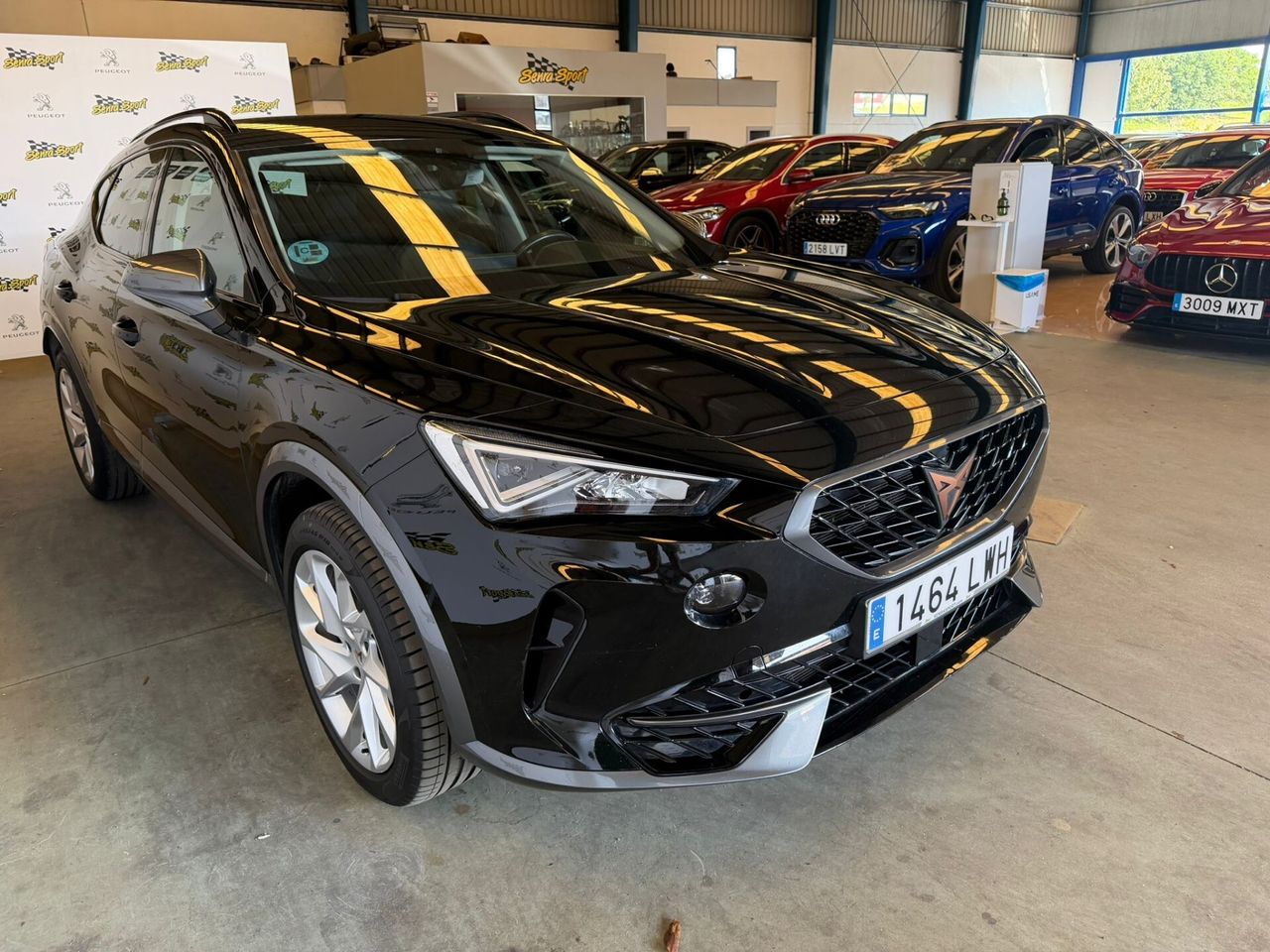 Cupra Formentor 2.0 TDI 110kW (150 CV) - Foto 6