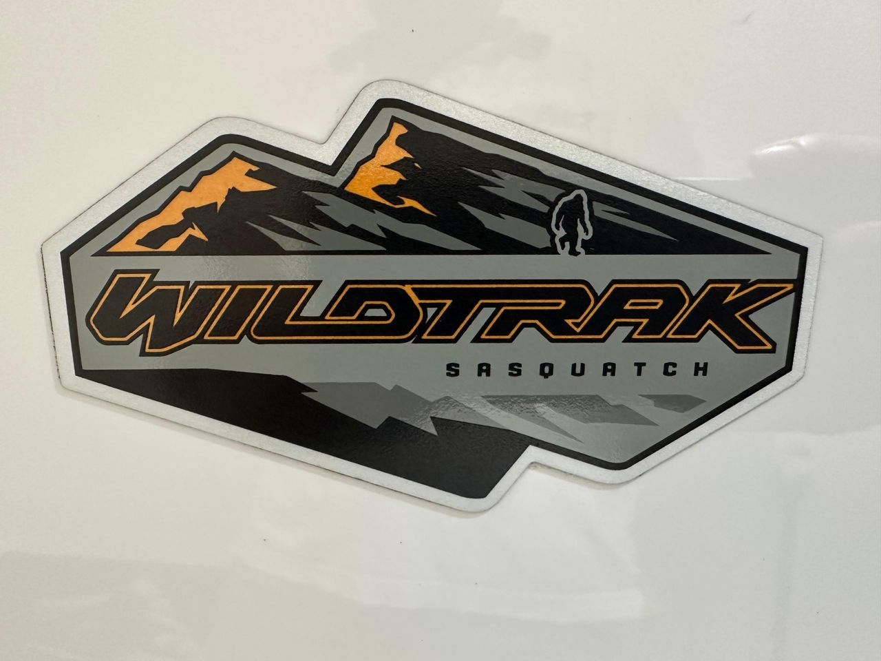 Ford Bronco WILDTRACK 2P - Foto 8