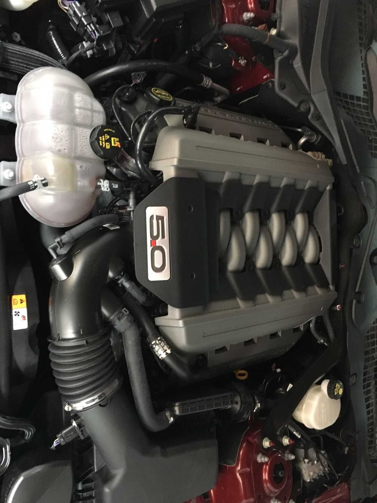 Ford Mustang 5.O CONVERTIBLE  - Foto 16
