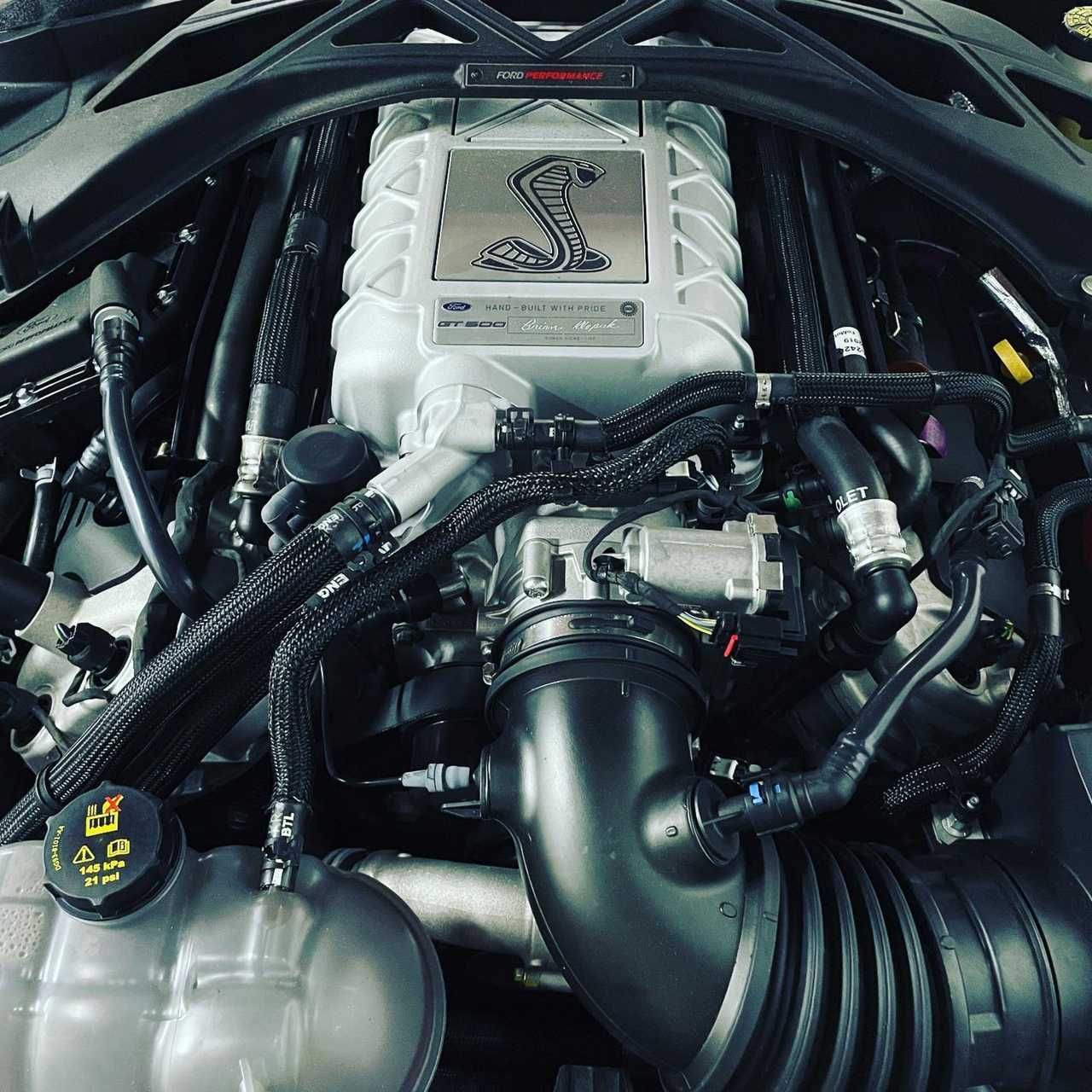 Ford Mustang Ford Mustang GT500 golden ticket!!  - Foto 10