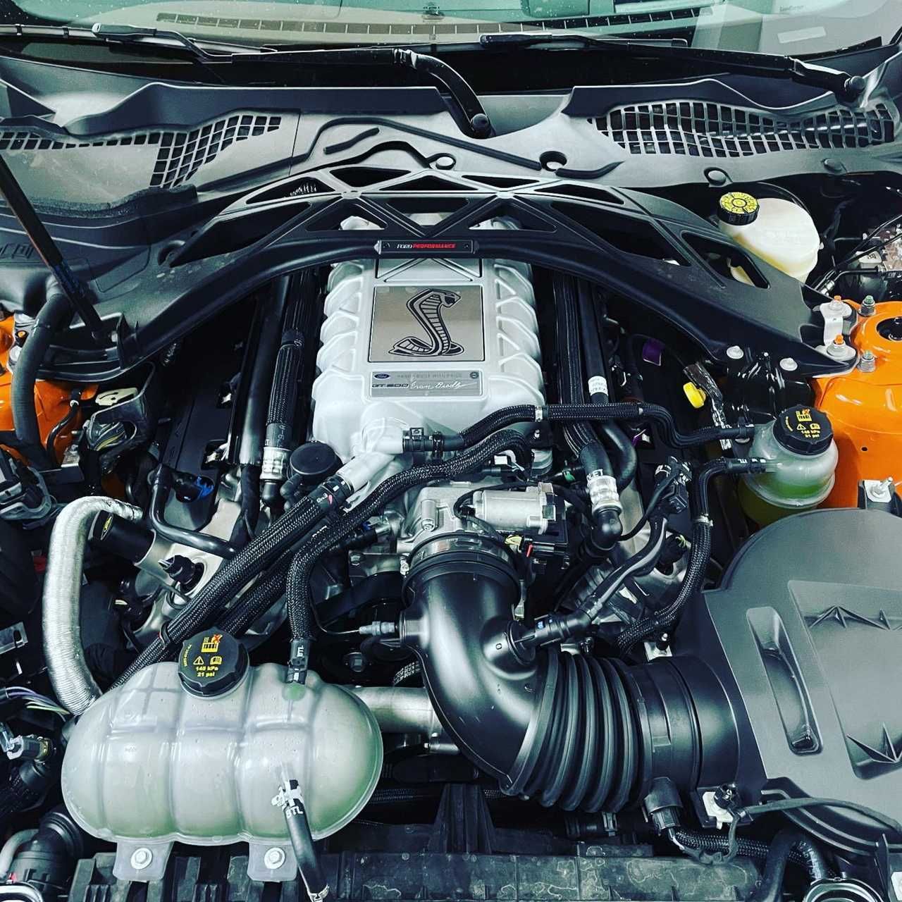 Ford Mustang GT500 2020, PRECIO FINAL!!  - Foto 10