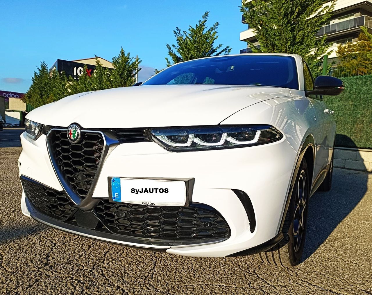 Alfa Romeo Tonale 16 DS 130 CV VELOCE TRIBUTO ITALIA