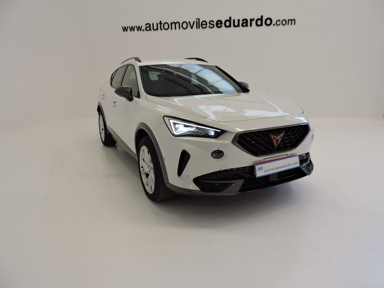 Cupra Formentor 2.0 TDI 110 kW - Foto 4