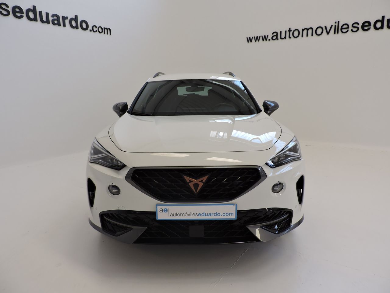 Cupra Formentor 2.0 TDI 110 kW - Foto 3