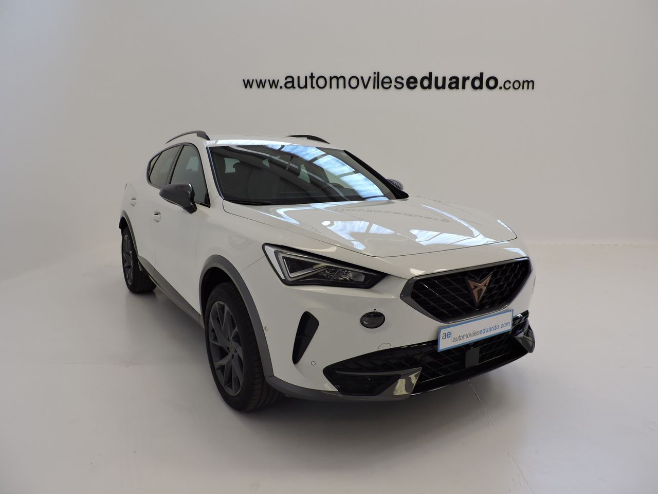 Cupra Formentor 2.0 TDI 110 kW - Foto 4