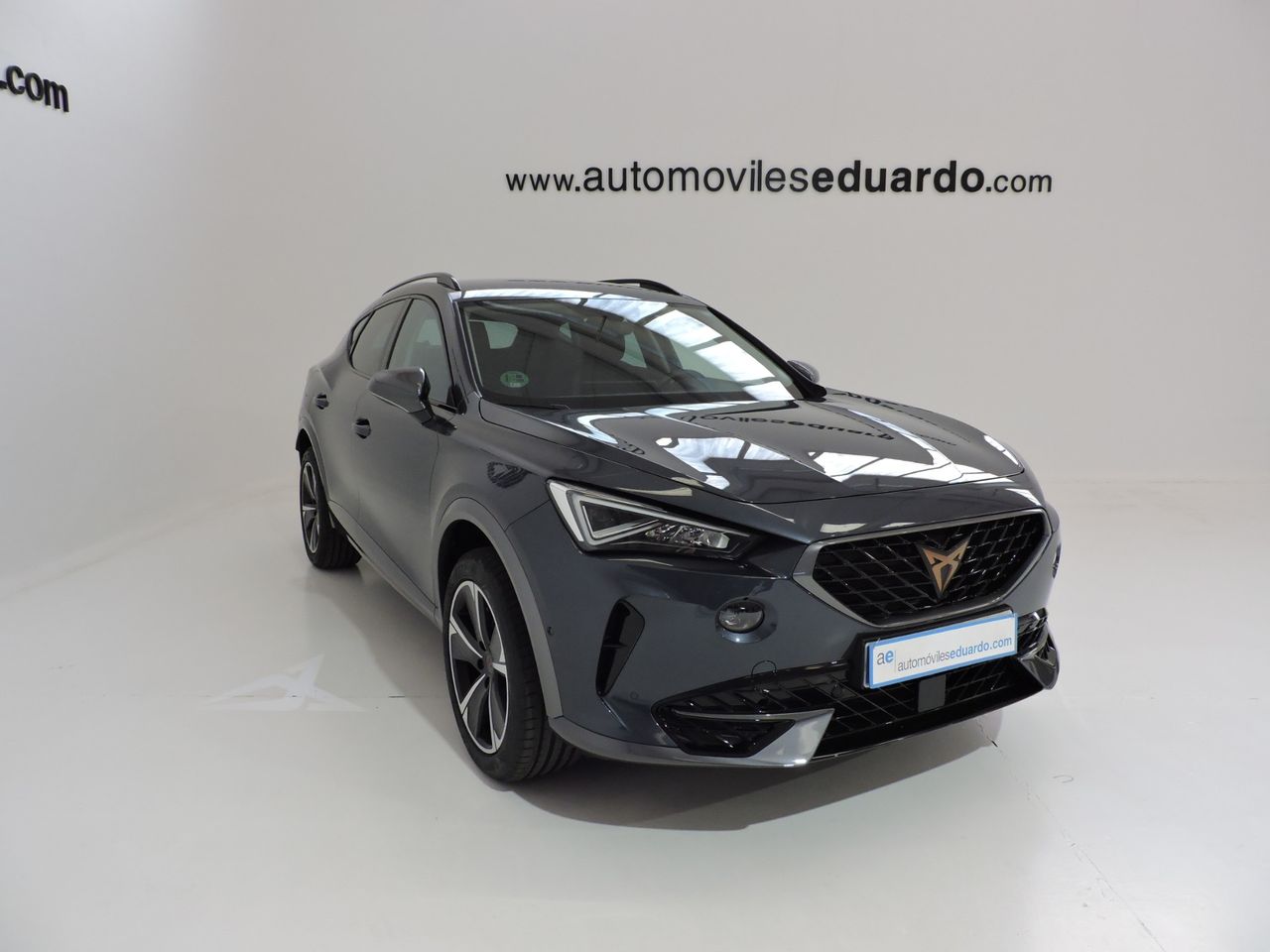 Cupra Formentor 1.5 TSI 110 kW - Foto 4