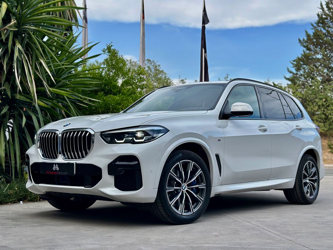 BMW X5 XDRIVE40DA PAQUETE M, TECHO PANORAMICO SUSPENSION ADPATATIVA - Foto 6