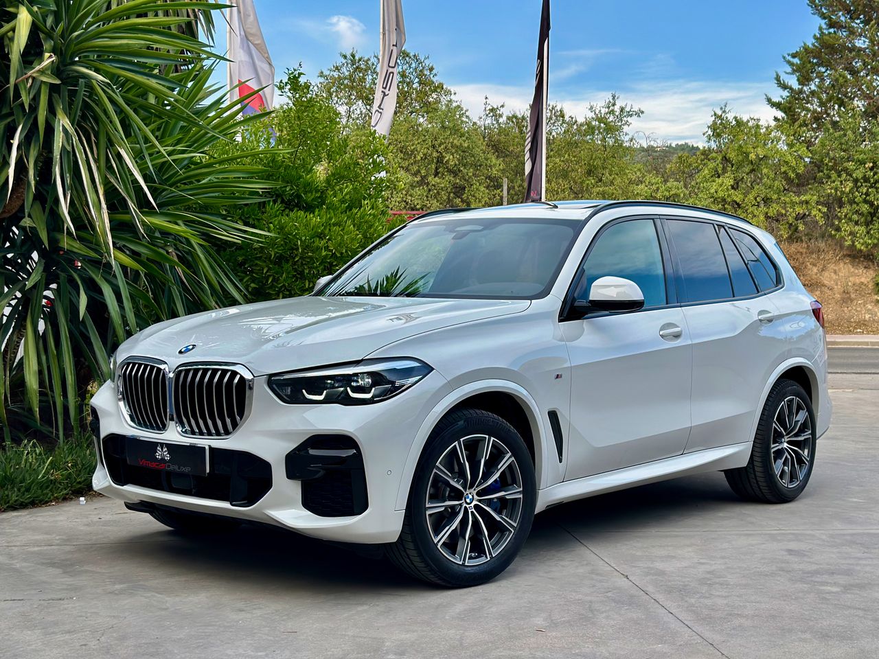 BMW X5 XDRIVE40DA PAQUETE M, TECHO PANORAMICO SUSPENSION ADPATATIVA - Foto 2