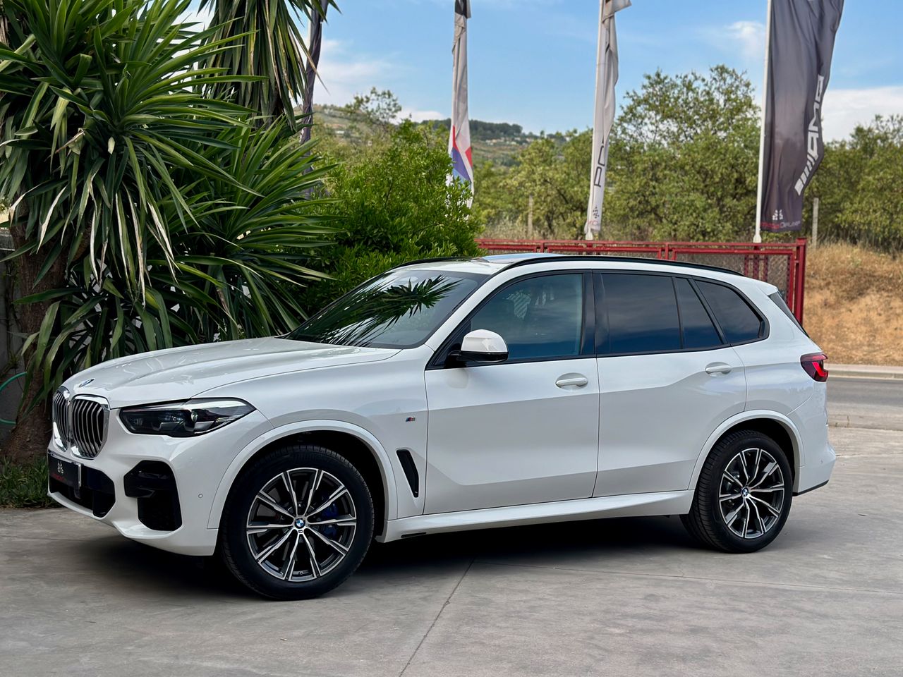 BMW X5 XDRIVE40DA PAQUETE M, TECHO PANORAMICO SUSPENSION ADPATATIVA - Foto 29