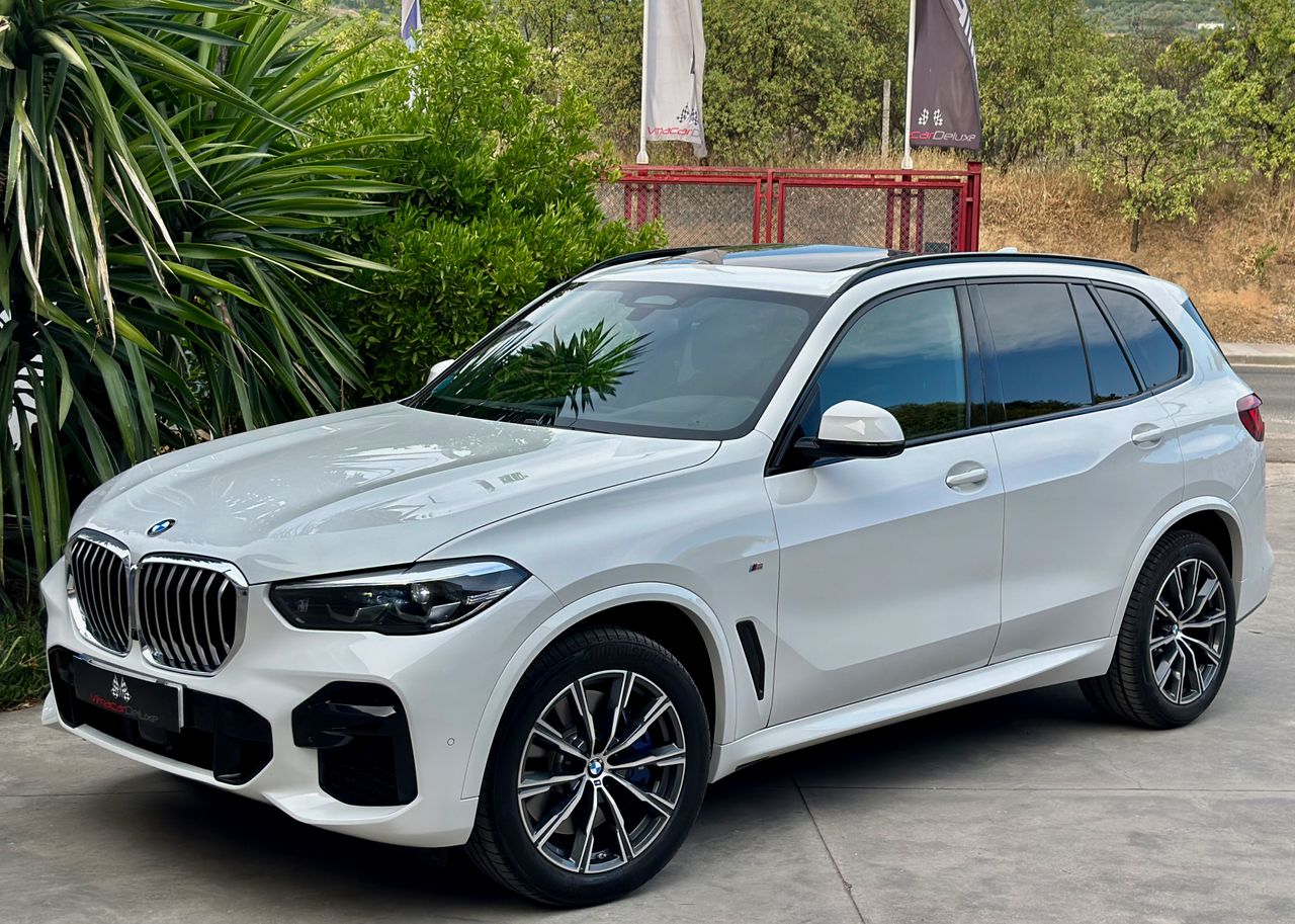 BMW X5 XDRIVE40DA PAQUETE M, TECHO PANORAMICO SUSPENSION ADPATATIVA - Foto 13