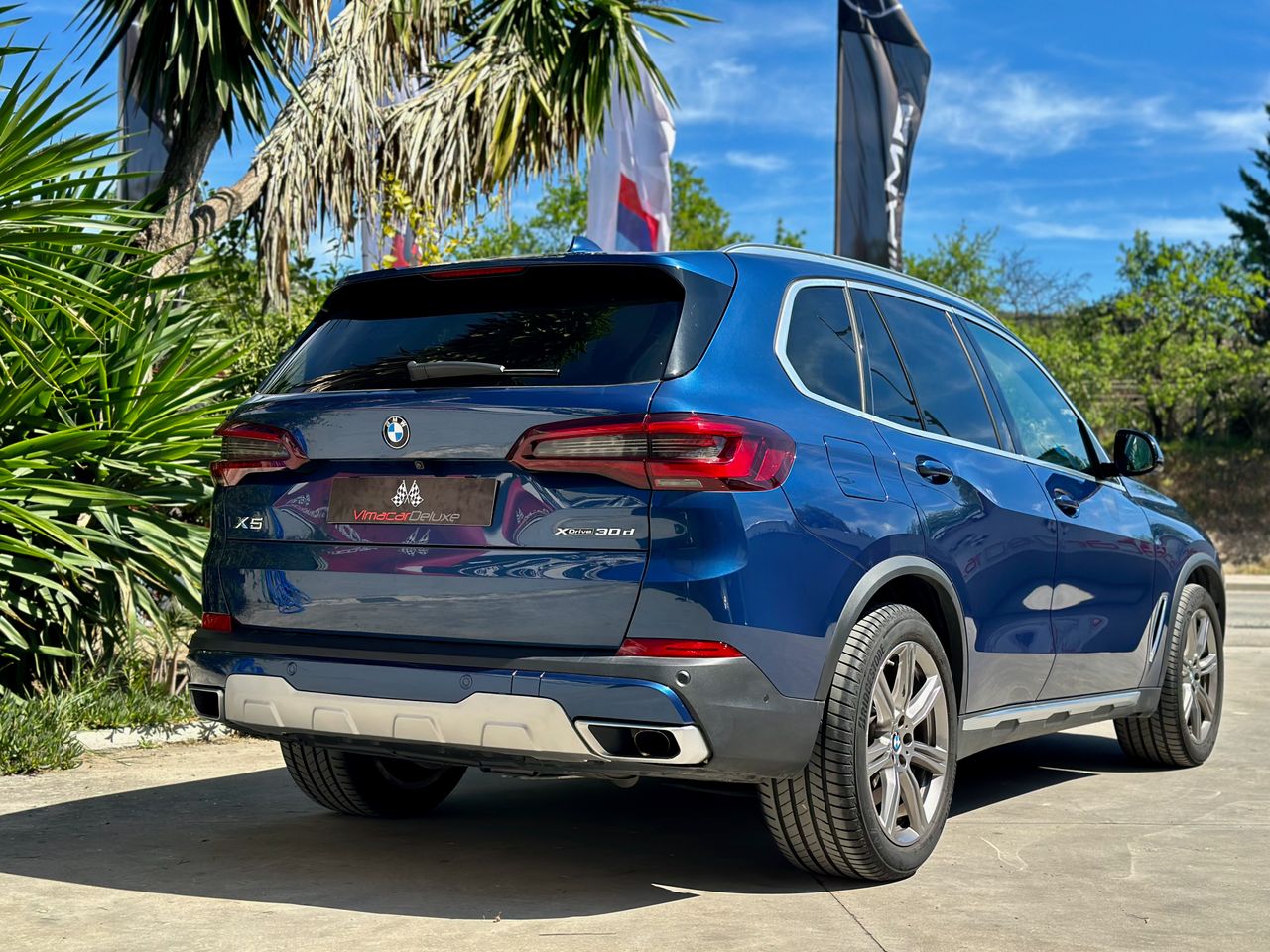 BMW X5 XDRIVE30D X-LINE  - Foto 6