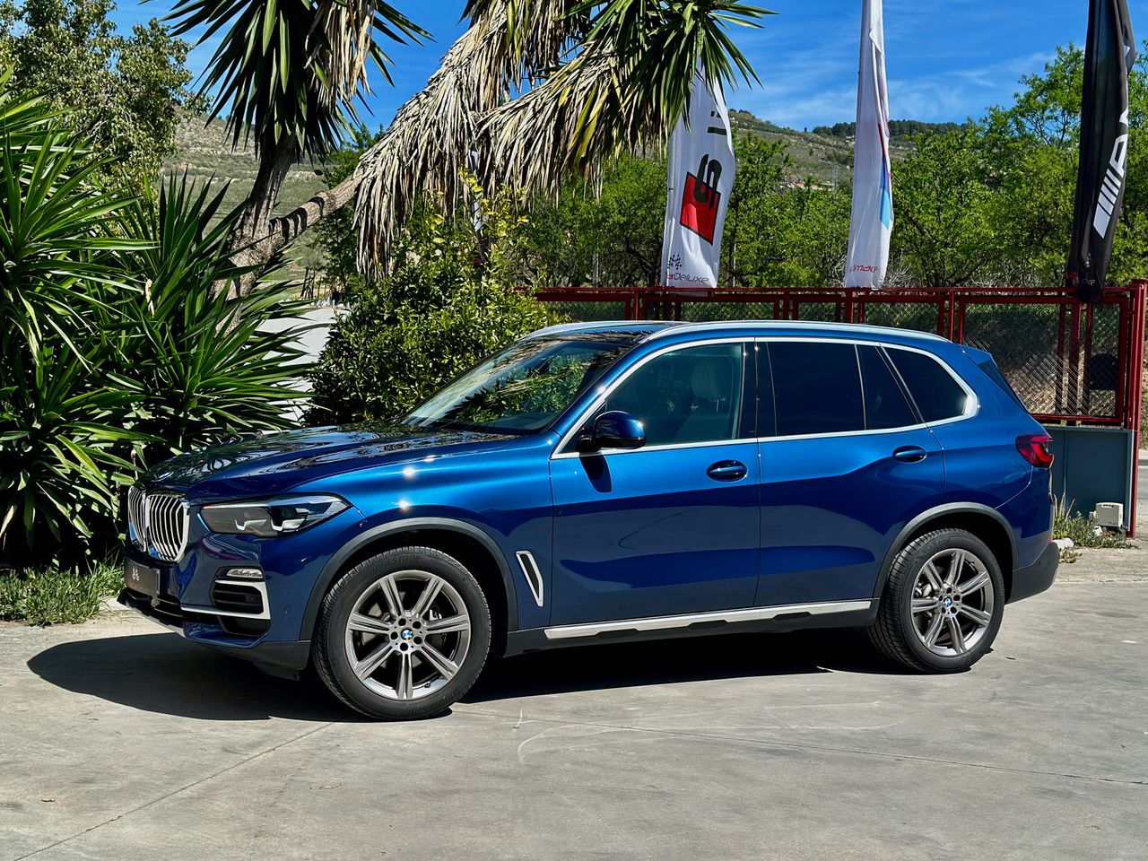 BMW X5 XDRIVE30D X-LINE  - Foto 4