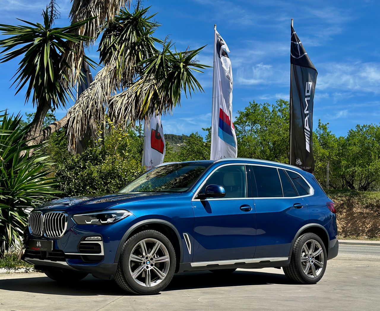 BMW X5 XDRIVE30D X-LINE  - Foto 33