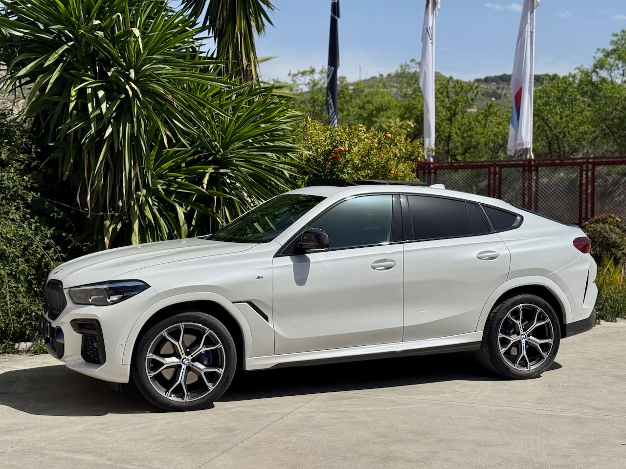 BMW X6 XDRIVE30D, PAQUETE M, TECHO, ACCESO CONFORT  - Foto 8