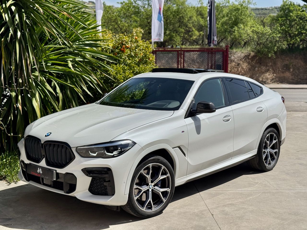 BMW X6 XDRIVE30D, PAQUETE M, TECHO, ACCESO CONFORT  - Foto 6