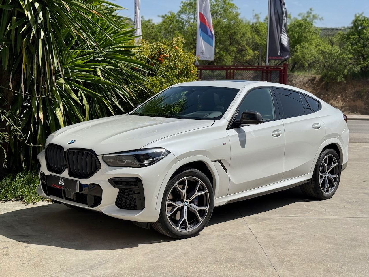 BMW X6 XDRIVE30D, PAQUETE M, TECHO, ACCESO CONFORT  - Foto 45