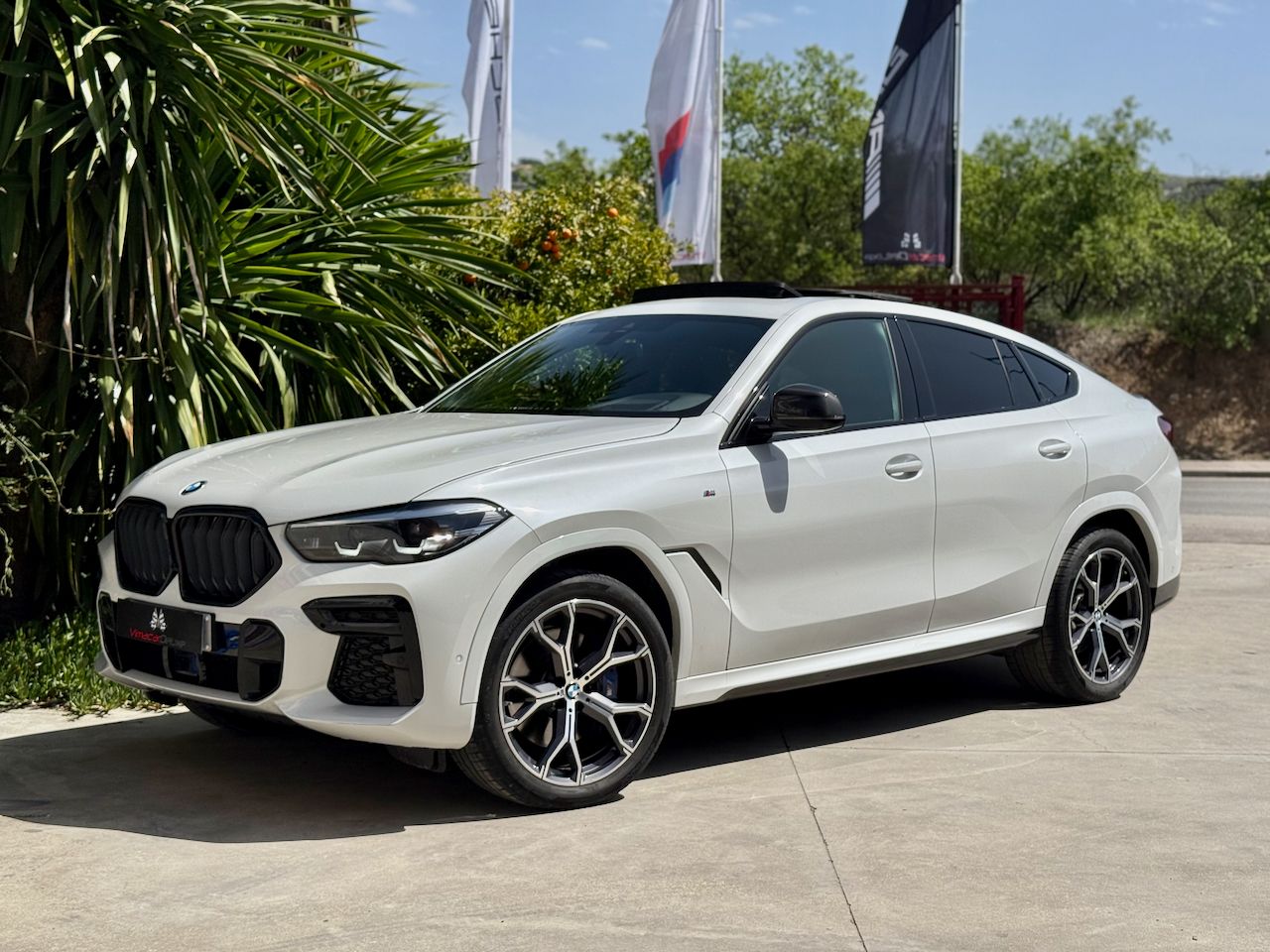BMW X6 XDRIVE30D, PAQUETE M, TECHO, ACCESO CONFORT  - Foto 7